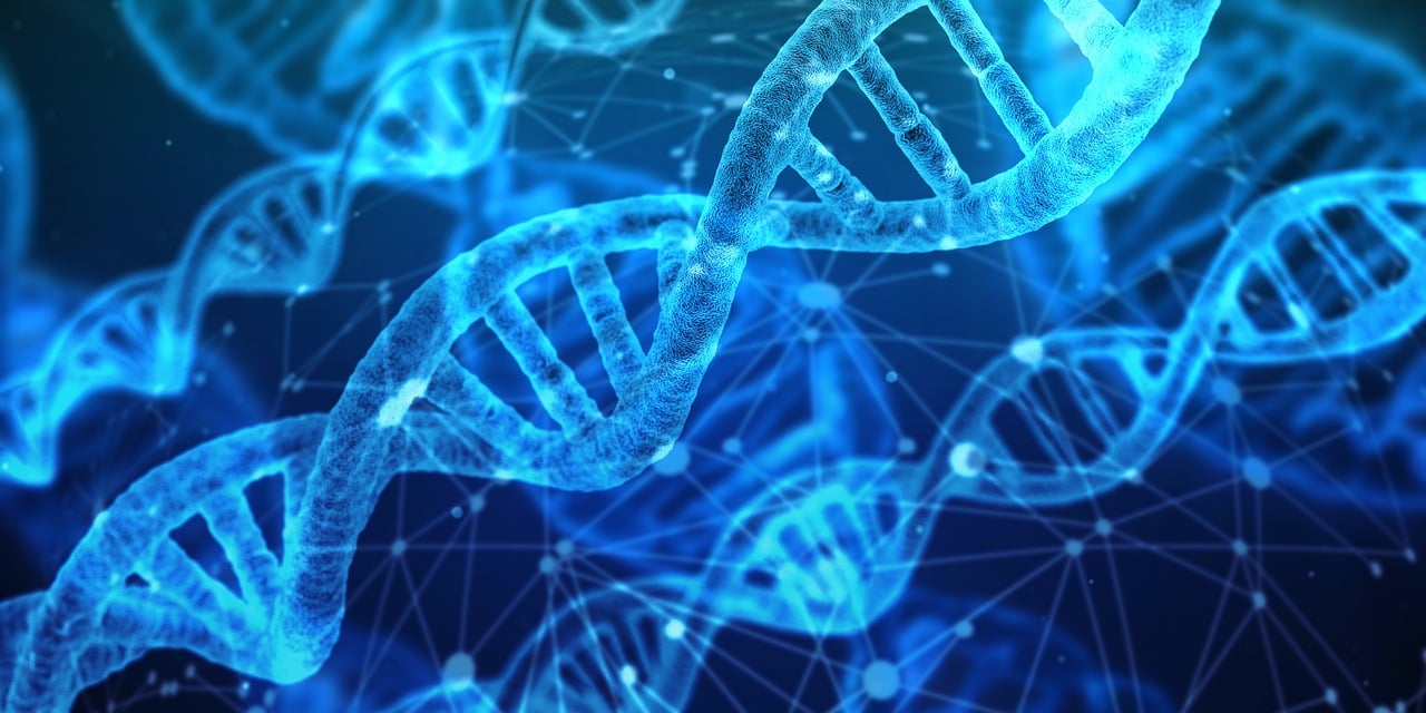 探究高回彈催化劑C-225對聚氨酯泡沫固化速度和加工窗口的調(diào)控作用